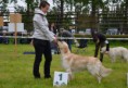 /album/fotogalerie-2/cane-11-5-14-2-jpg/